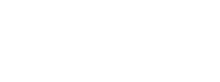 official selection: BAMcinemaFest, 2013